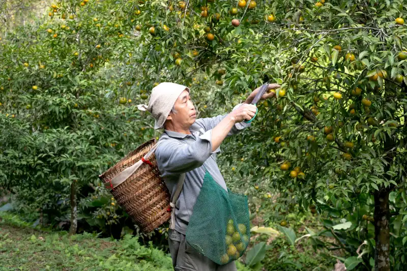 贵州中小企业管理升级趋势及商业运营新策略解析